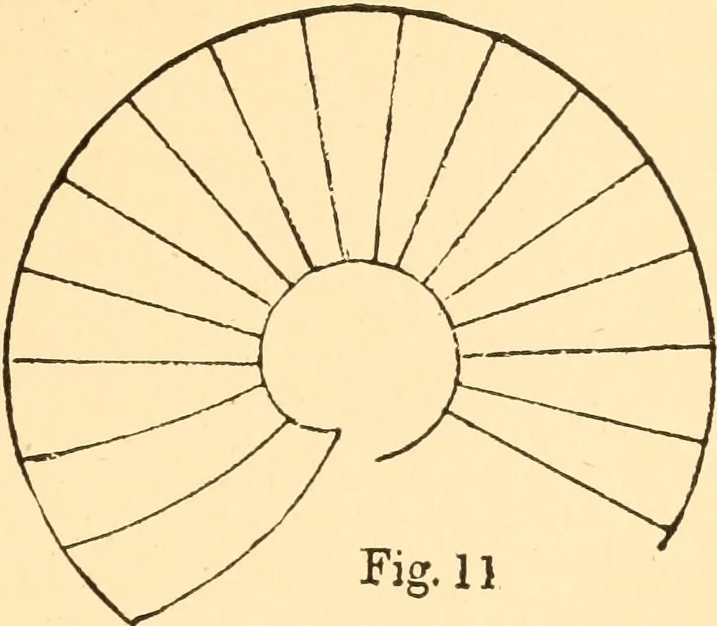 An illustration from Common-sense stair building and handrailing, 1903, leaf 20