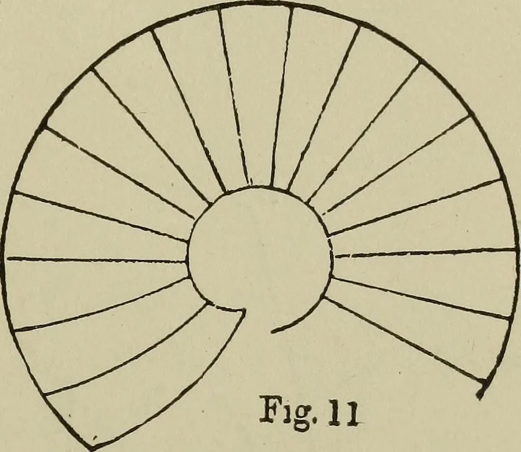 An illustration from Common-sense stair building and handrailing .., 1913, leaf 16