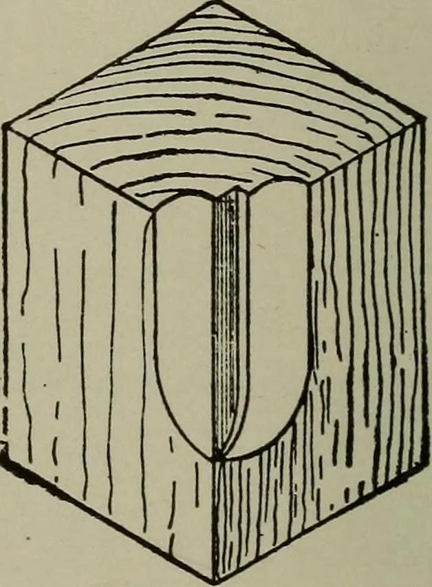 An illustration from Common-sense stair building and handrailing .., 1913, leaf 169