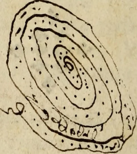 An illustration from The common-vvealth of Utopia : containing a learned and pleasant discourse of the best state of a publike weale, as it is found in the government of the new ile called Vtopia, 1639, leaf 311