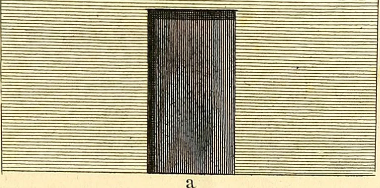 An illustration from Communications to the Board of Agriculture : on subjects relative to the husbandry, and internal improvements of the country, 1797, leaf 179