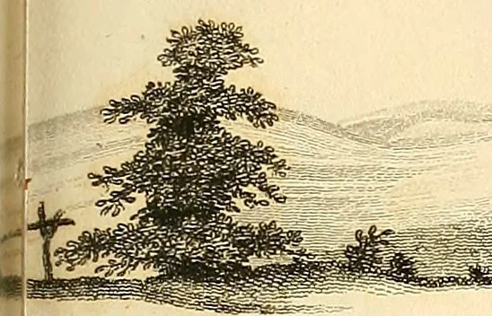 An illustration from Communications to the Board of Agriculture : on subjects relative to the husbandry, and internal improvements of the country, 1797, leaf 216