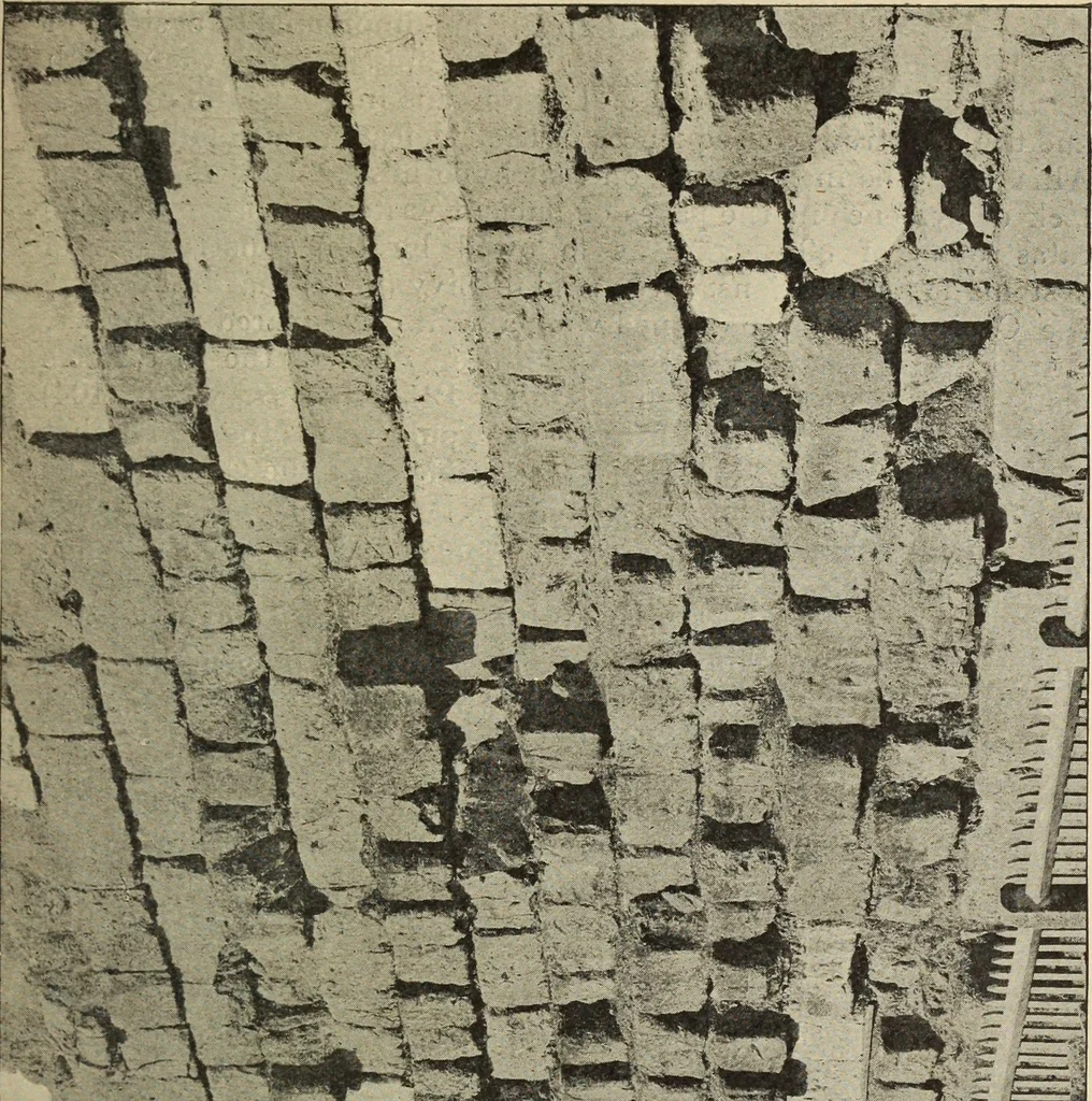 An illustration from Companion to Roman history, 1912, leaf 86
