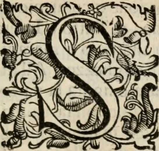 An illustration from Comparatione di Homero, Virgilio e Torqvato : et a chi di loro si debba la palma nell'heroico poema. Del quale si vanno anco riconoscendo i preceti:con dar largo conto de'poeti heroici, tanto Greci, quanto Latini & Italiani. Et in particolare si fà guiditio dell' Ariosto, 1607, leaf 220