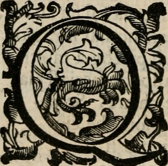 An illustration from Comparatione di Homero, Virgilio e Torqvato : et a chi di loro si debba la palma nell'heroico poema. Del quale si vanno anco riconoscendo i preceti:con dar largo conto de'poeti heroici, tanto Greci, quanto Latini & Italiani. Et in particolare si fà guiditio dell' Ariosto, 1607, leaf 253