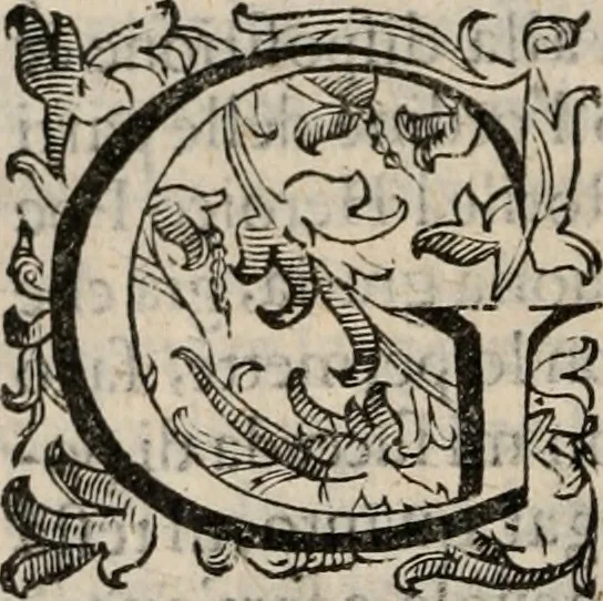 An illustration from Comparatione di Homero, Virgilio e Torqvato : et a chi di loro si debba la palma nell'heroico poema. Del quale si vanno anco riconoscendo i preceti:con dar largo conto de'poeti heroici, tanto Greci, quanto Latini & Italiani. Et in particolare si fà guiditio dell' Ariosto, 1607, leaf 51