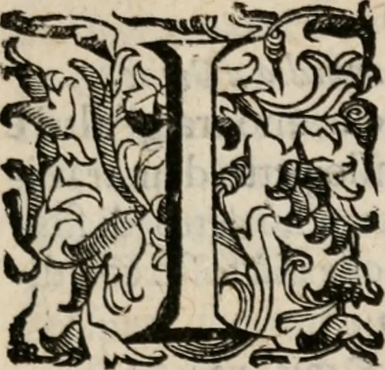 An illustration from Comparatione di Homero, Virgilio e Torqvato : et a chi di loro si debba la palma nell'heroico poema. Del quale si vanno anco riconoscendo i preceti:con dar largo conto de'poeti heroici, tanto Greci, quanto Latini & Italiani. Et in particolare si fà guiditio dell' Ariosto, 1607, leaf 8