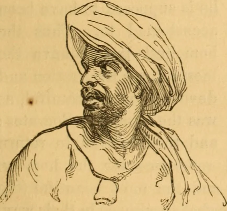 An illustration from Comparative physiognomy; or, Resemblances between men and animals, 1852, leaf 104