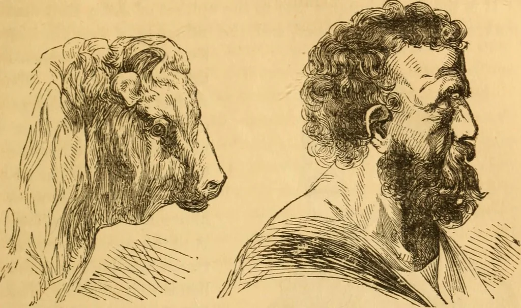 An illustration from Comparative physiognomy; or, Resemblances between men and animals, 1852, leaf 118