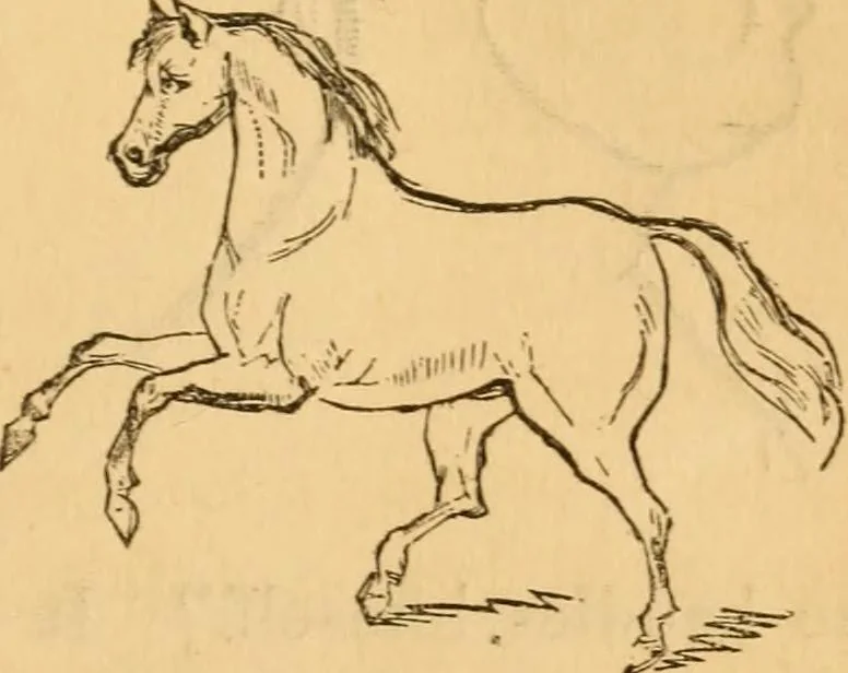 An illustration from Comparative physiognomy; or, Resemblances between men and animals, 1852, leaf 128
