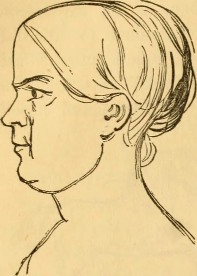 An illustration from Comparative physiognomy; or, Resemblances between men and animals, 1852, leaf 129