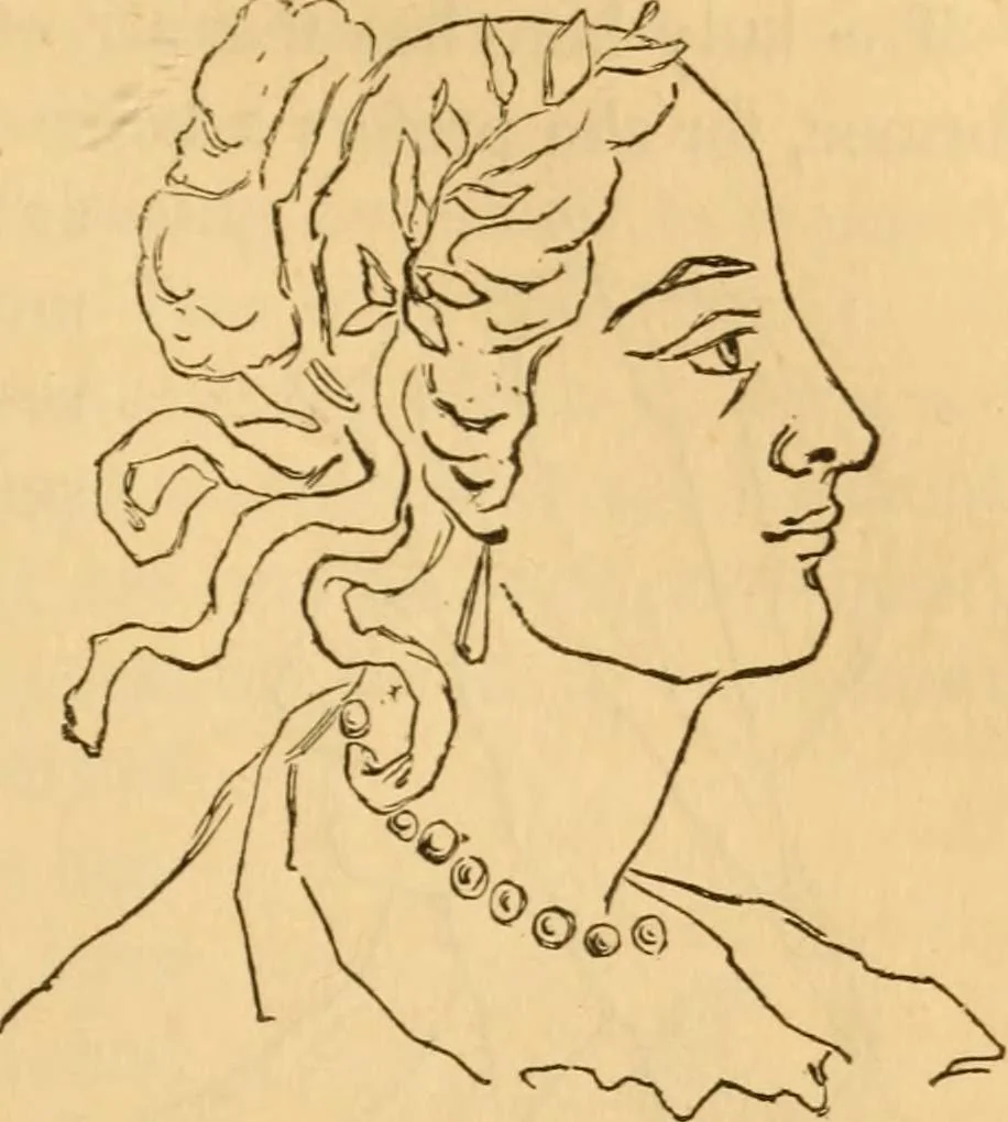 An illustration from Comparative physiognomy; or, Resemblances between men and animals, 1852, leaf 138
