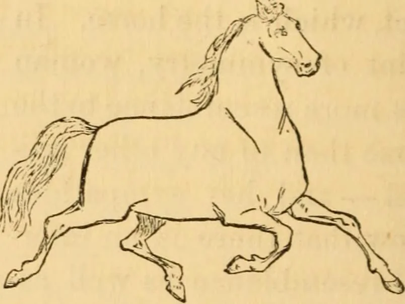 An illustration from Comparative physiognomy; or, Resemblances between men and animals, 1852, leaf 139