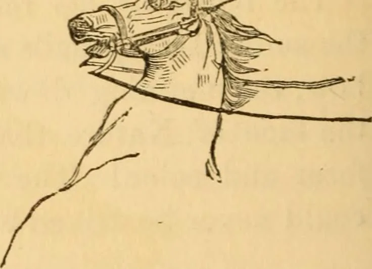 An illustration from Comparative physiognomy; or, Resemblances between men and animals, 1852, leaf 143