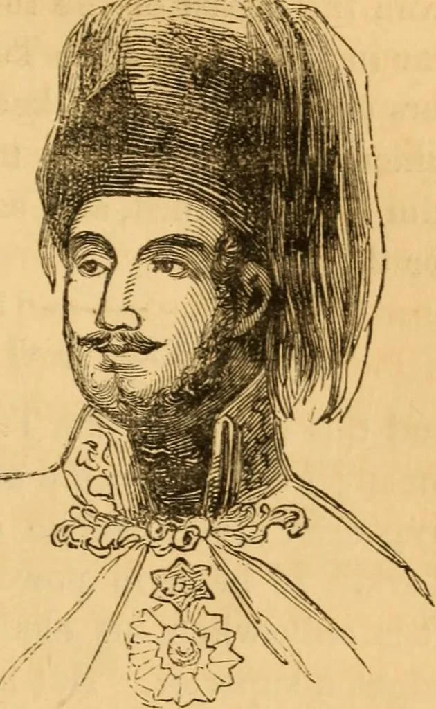 An illustration from Comparative physiognomy; or, Resemblances between men and animals, 1852, leaf 152