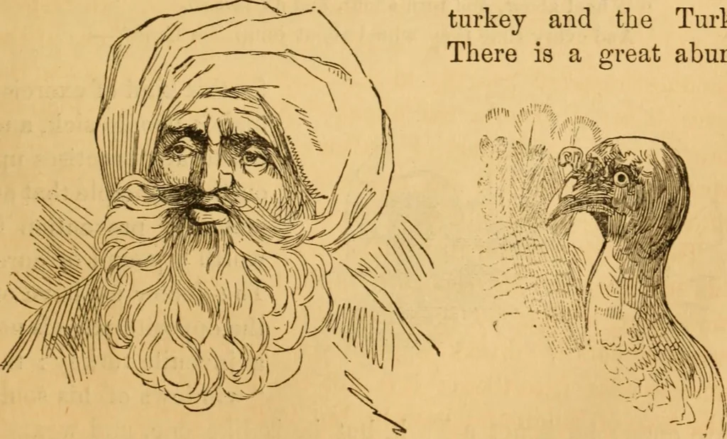 An illustration from Comparative physiognomy; or, Resemblances between men and animals, 1852, leaf 152