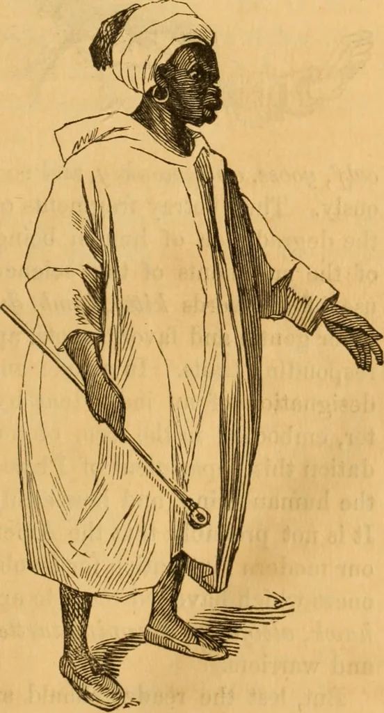 An illustration from Comparative physiognomy; or, Resemblances between men and animals, 1852, leaf 16