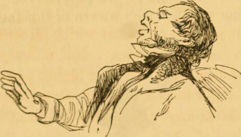 An illustration from Comparative physiognomy; or, Resemblances between men and animals, 1852, leaf 17