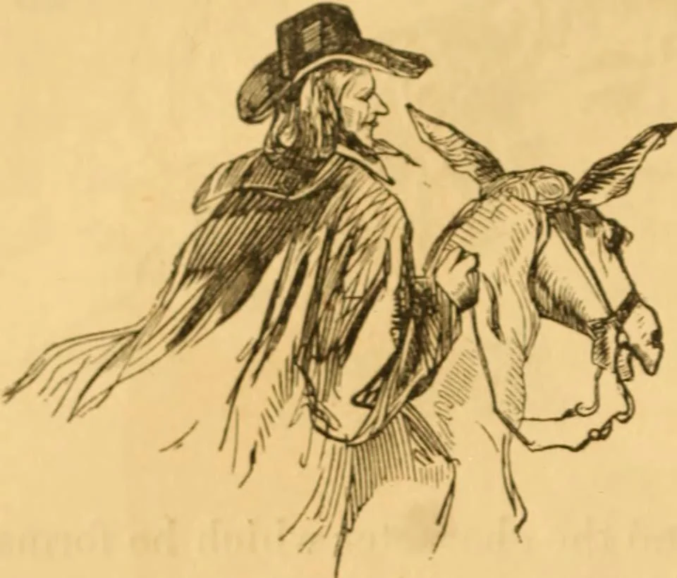 An illustration from Comparative physiognomy; or, Resemblances between men and animals, 1852, leaf 19