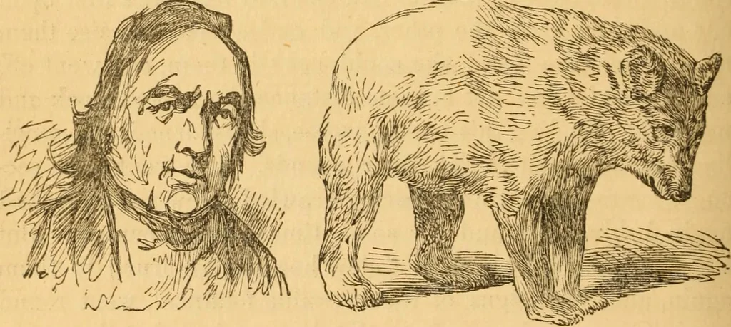 An illustration from Comparative physiognomy; or, Resemblances between men and animals, 1852, leaf 209