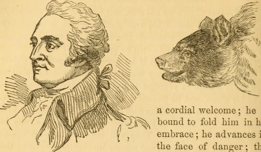 An illustration from Comparative physiognomy; or, Resemblances between men and animals, 1852, leaf 219