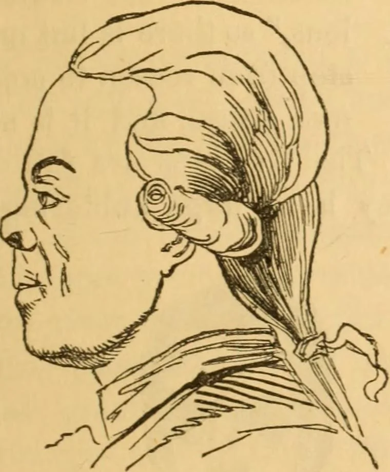 An illustration from Comparative physiognomy; or, Resemblances between men and animals, 1852, leaf 222