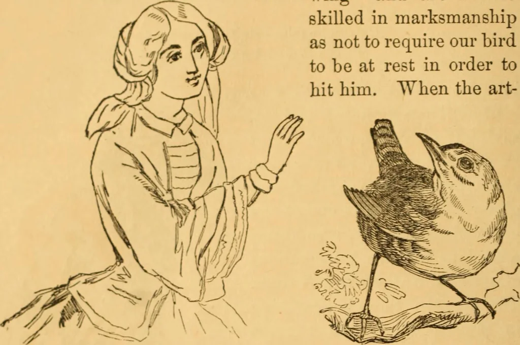 An illustration from Comparative physiognomy; or, Resemblances between men and animals, 1852, leaf 23