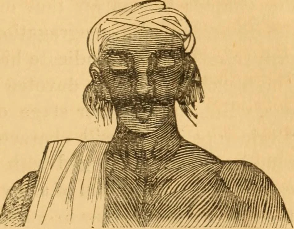 An illustration from Comparative physiognomy; or, Resemblances between men and animals, 1852, leaf 230