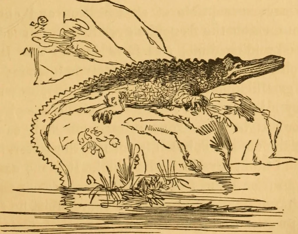 An illustration from Comparative physiognomy; or, Resemblances between men and animals, 1852, leaf 240
