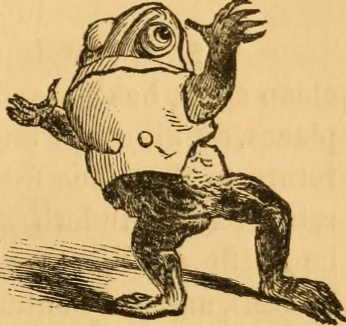 An illustration from Comparative physiognomy; or, Resemblances between men and animals, 1852, leaf 244
