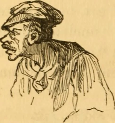 An illustration from Comparative physiognomy; or, Resemblances between men and animals, 1852, leaf 245