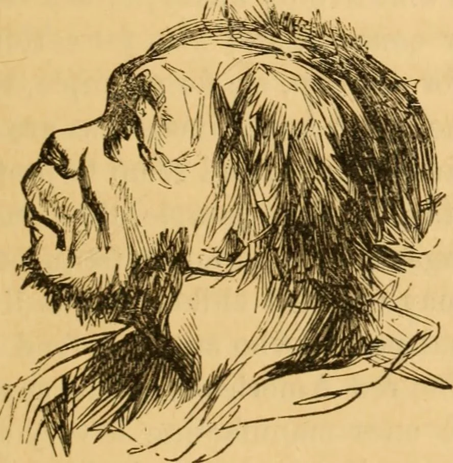 An illustration from Comparative physiognomy; or, Resemblances between men and animals, 1852, leaf 272