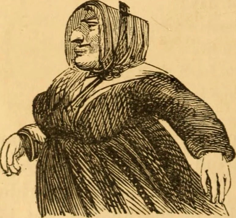 An illustration from Comparative physiognomy; or, Resemblances between men and animals, 1852, leaf 287