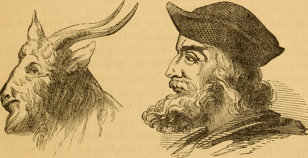 An illustration from Comparative physiognomy; or, Resemblances between men and animals, 1852, leaf 290