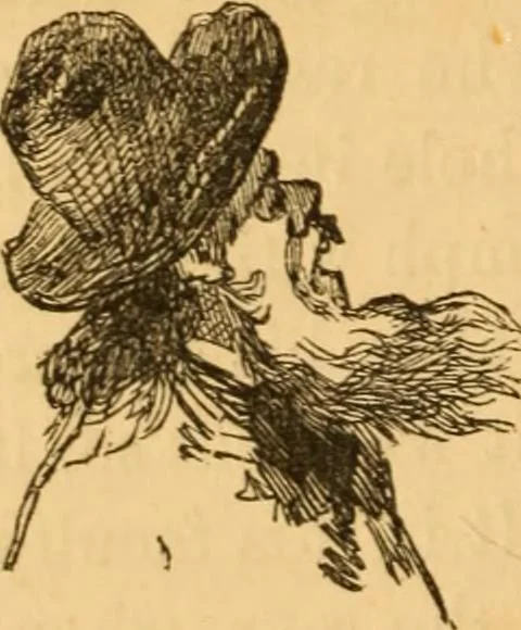An illustration from Comparative physiognomy; or, Resemblances between men and animals, 1852, leaf 293