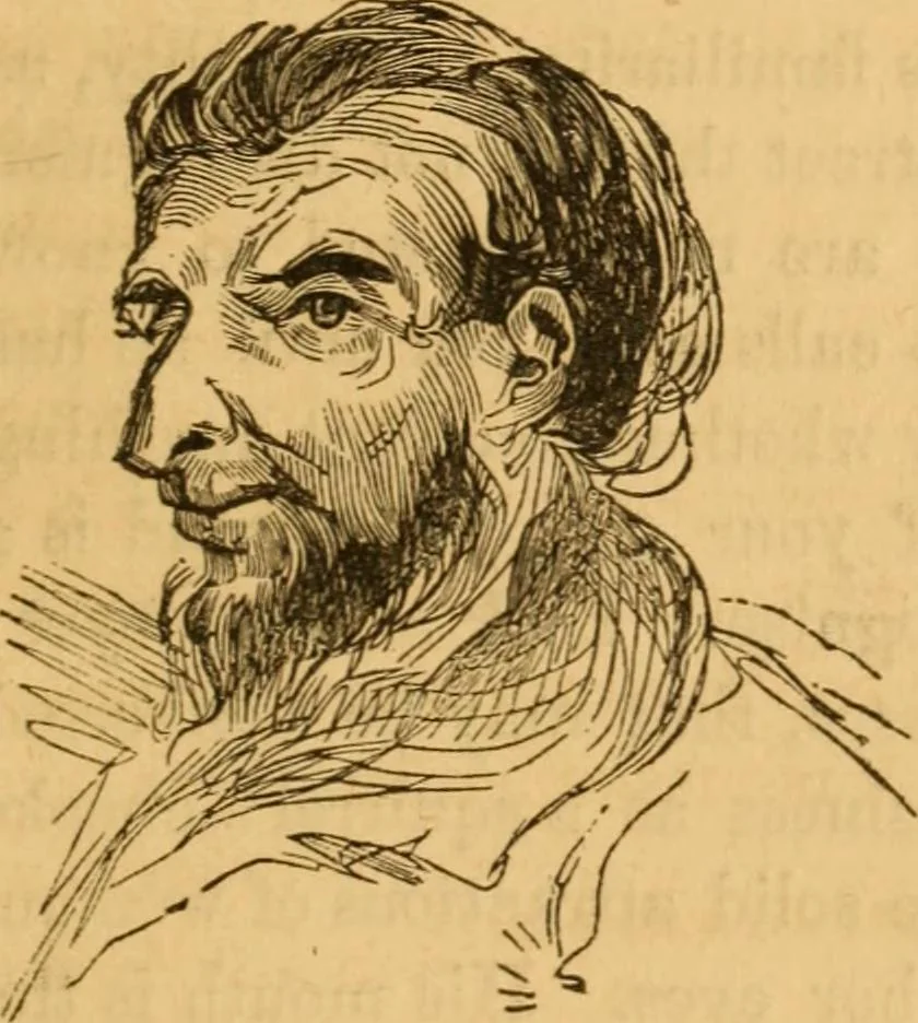 An illustration from Comparative physiognomy; or, Resemblances between men and animals, 1852, leaf 296