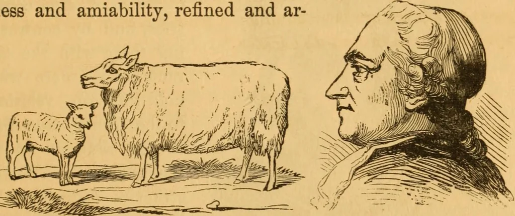 An illustration from Comparative physiognomy; or, Resemblances between men and animals, 1852, leaf 312