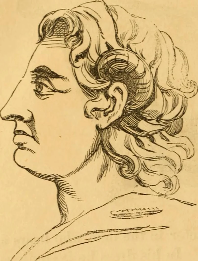 An illustration from Comparative physiognomy; or, Resemblances between men and animals, 1852, leaf 317