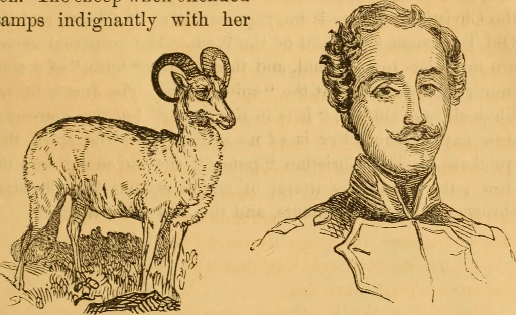 An illustration from Comparative physiognomy; or, Resemblances between men and animals, 1852, leaf 322
