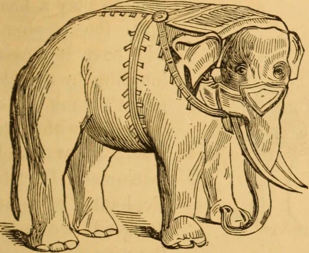 An illustration from Comparative physiognomy; or, Resemblances between men and animals, 1852, leaf 52