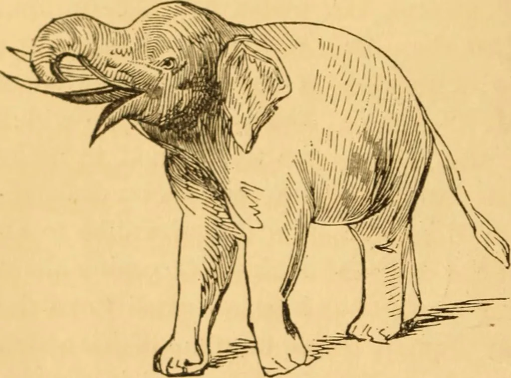 An illustration from Comparative physiognomy; or, Resemblances between men and animals, 1852, leaf 53