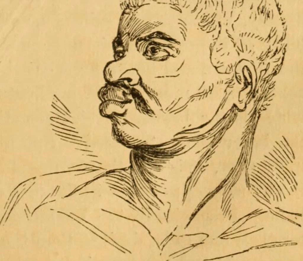 An illustration from Comparative physiognomy; or, Resemblances between men and animals, 1852, leaf 54