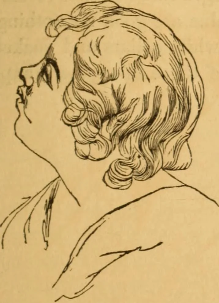 An illustration from Comparative physiognomy; or, Resemblances between men and animals, 1852, leaf 56