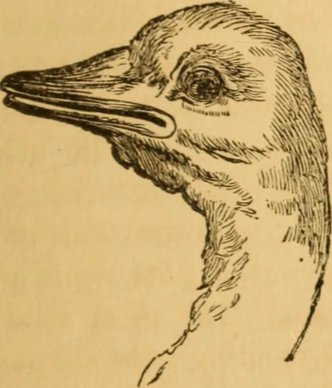 An illustration from Comparative physiognomy; or, Resemblances between men and animals, 1852, leaf 62