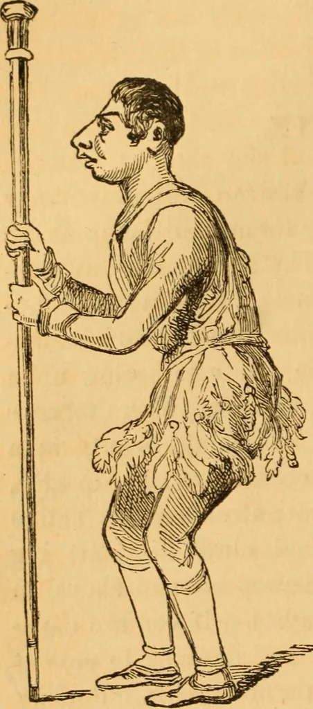 An illustration from Comparative physiognomy; or, Resemblances between men and animals, 1852, leaf 69