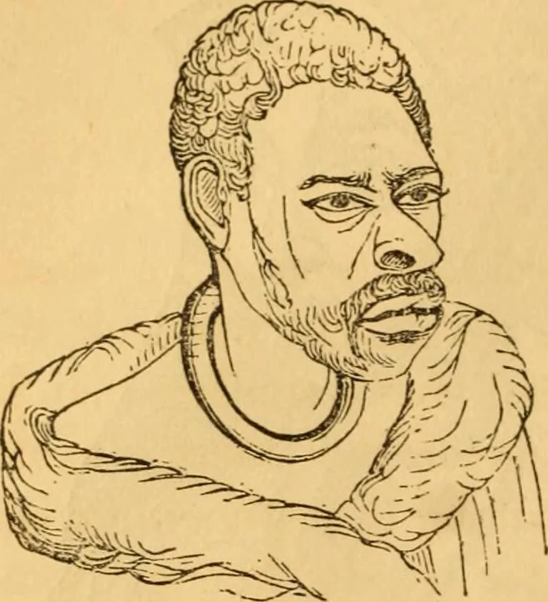 An illustration from Comparative physiognomy; or, Resemblances between men and animals, 1852, leaf 77