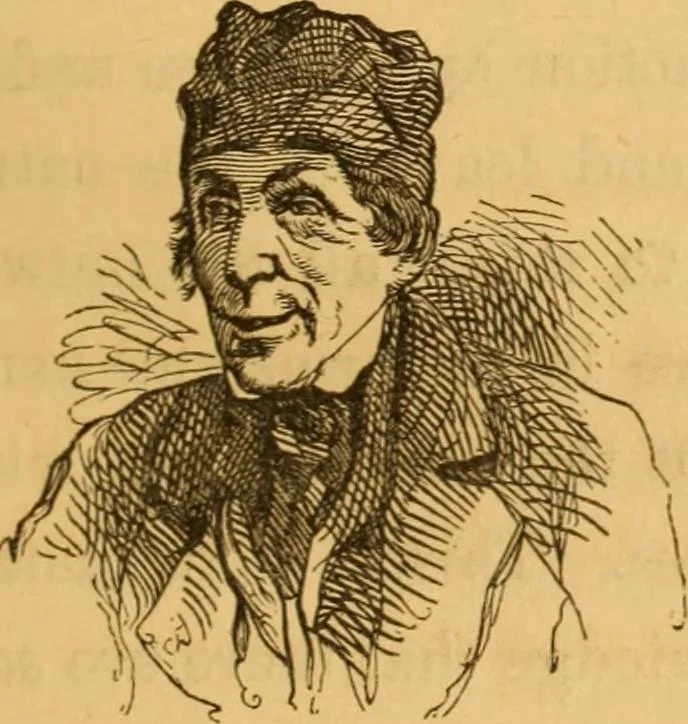 An illustration from Comparative physiognomy; or, Resemblances between men and animals, 1852, leaf 8