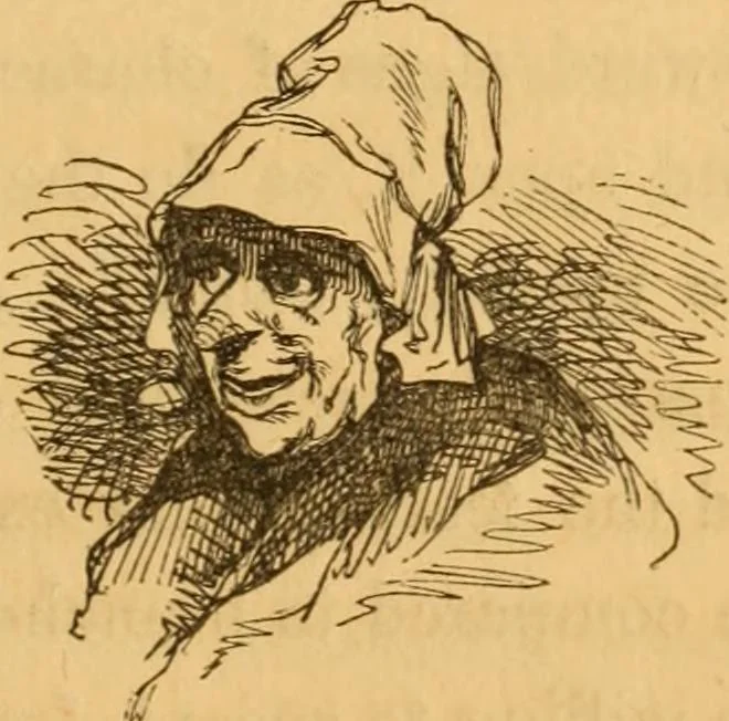 An illustration from Comparative physiognomy; or, Resemblances between men and animals, 1852, leaf 8