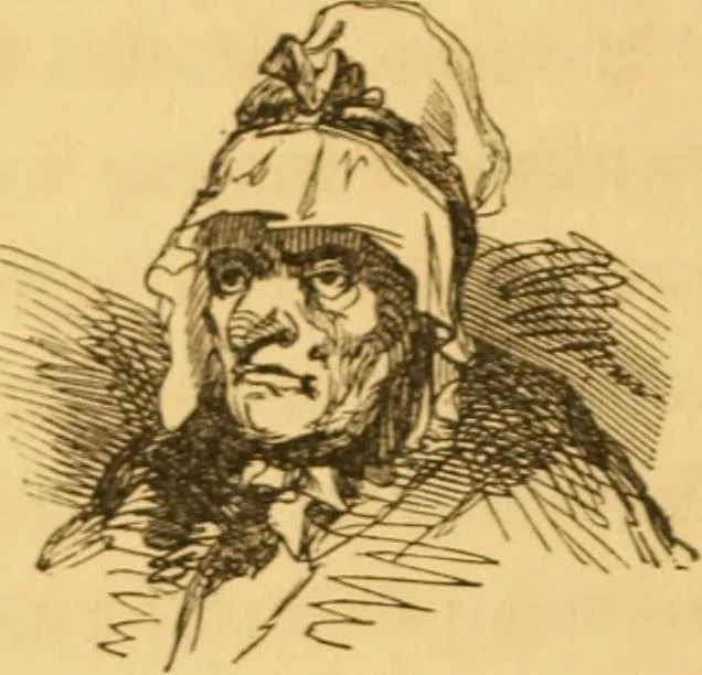 An illustration from Comparative physiognomy; or, Resemblances between men and animals, 1852, leaf 9