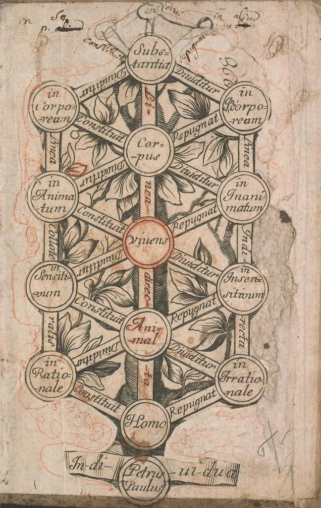 An illustration from Compendiaria ad universam ph[ilosoph]iam introductio [manuscript], 1696, leaf 301